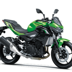 Z 500